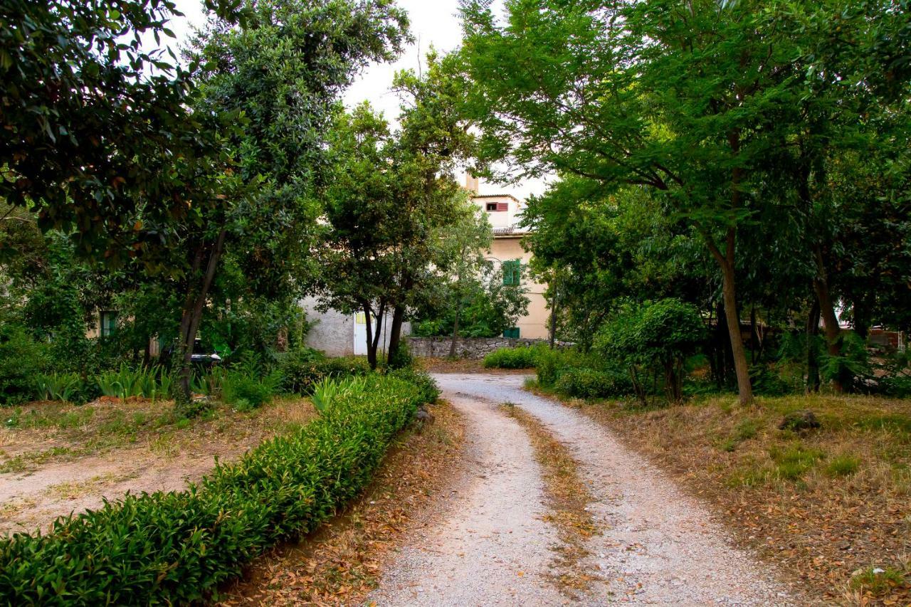 Casa Ana Apartment Zadar Bagian luar foto